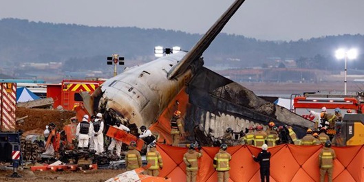 韩国:在坠毁的济州喷气式飞机的发动机中发现鸟类 DNA 韩国:在坠毁的济州喷气式飞机的发动机中发现鸟类 DNA