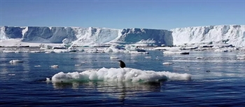 南极海冰面积创45年来低点 10个怀俄明州消失
