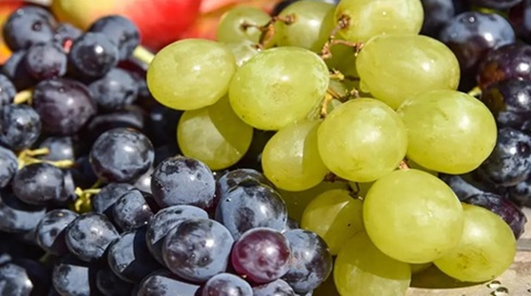 绿葡萄vs.红葡萄 营养相似差别在抗氧化物质 绿葡萄vs.红葡萄 营养相似差别在抗氧化物质