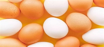 吃生鸡蛋安全吗？
