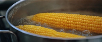 如何烹饪完美的夏玉米